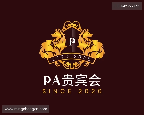 解读PA集团